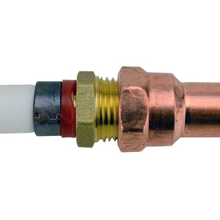 APOLLO PEX 1/2 in. Brass PEX Barb x 1/2 in. Male Pipe Thread Adapter APXMA1212